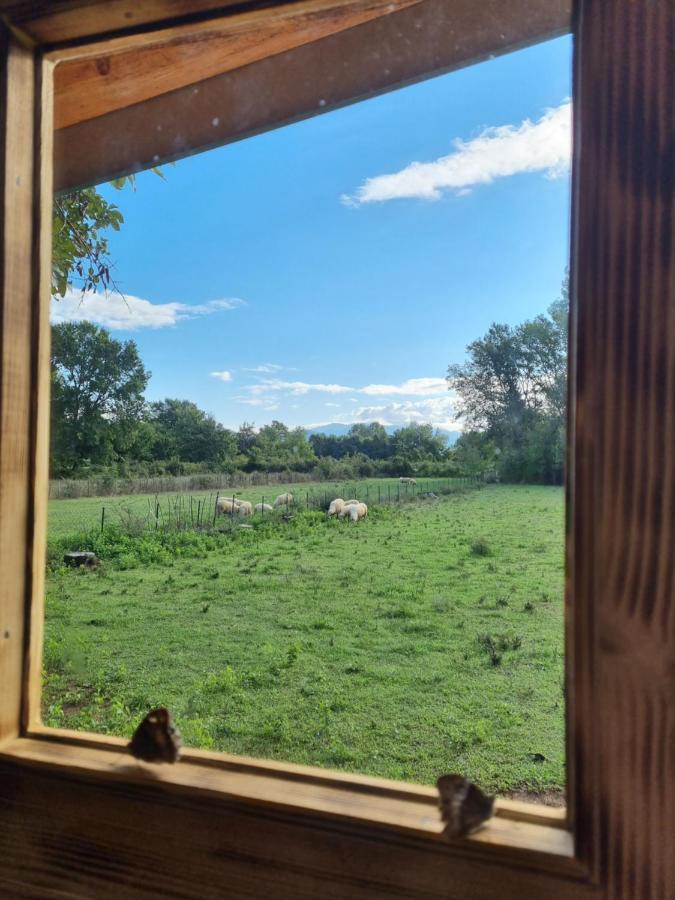 Wolf & Sheep Nature & Adventure Ποντγορίτσα Εξωτερικό φωτογραφία
