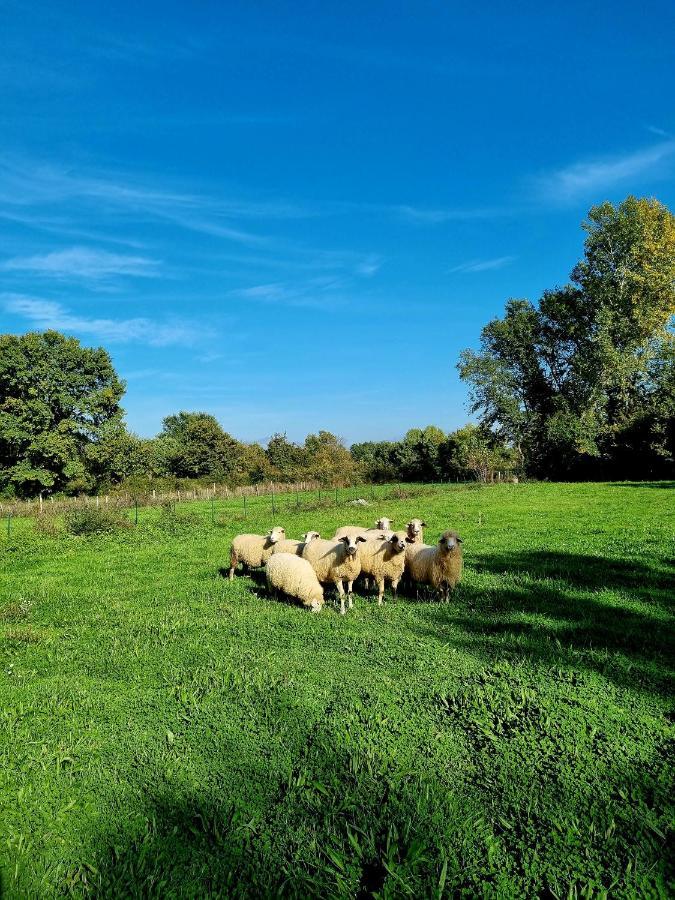 Wolf & Sheep Nature & Adventure Ποντγορίτσα Εξωτερικό φωτογραφία